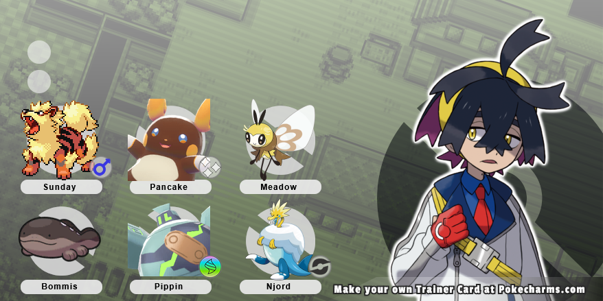 pokemon team